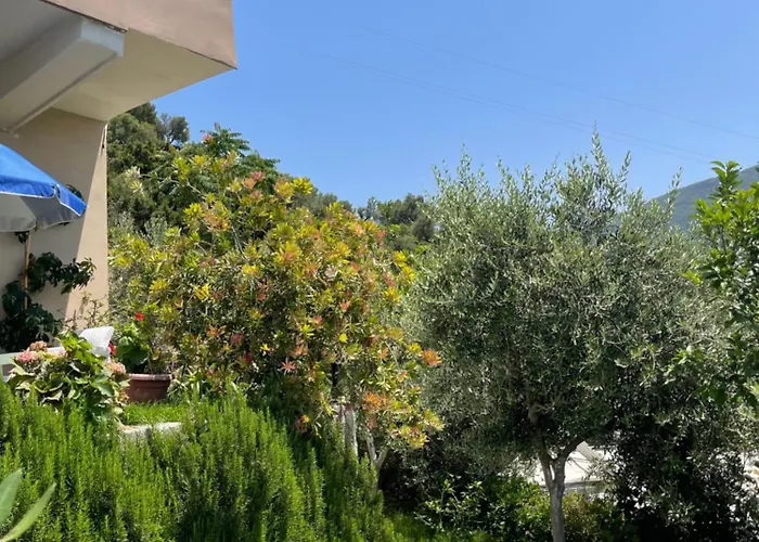 Aparthotel Seamare & 3*